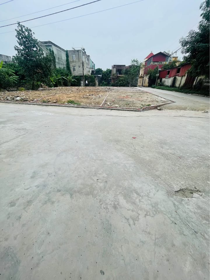 Đất nền 80m² mặt đường Quỳnh Hoàng, An Dương, Hải Phòng - Cơ hội đầu tư sinh lời hấp dẫn!