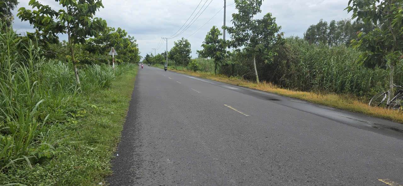 Đất mặt tiền đường 908 xã Mỹ Thuận 12,000m² giá 3.6 tỷ - Đầu tư sinh lời hấp dẫn!