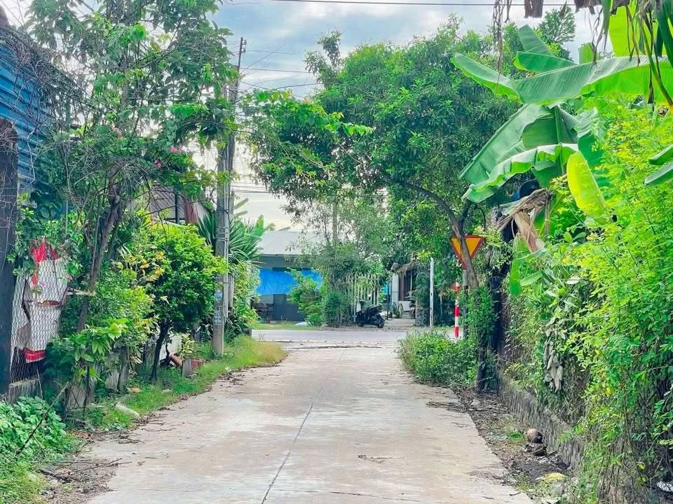 Đất thổ cư 258m² tại Ấp Rộc B, Thạnh Đức, Gò Dầu - Chỉ 330 triệu!