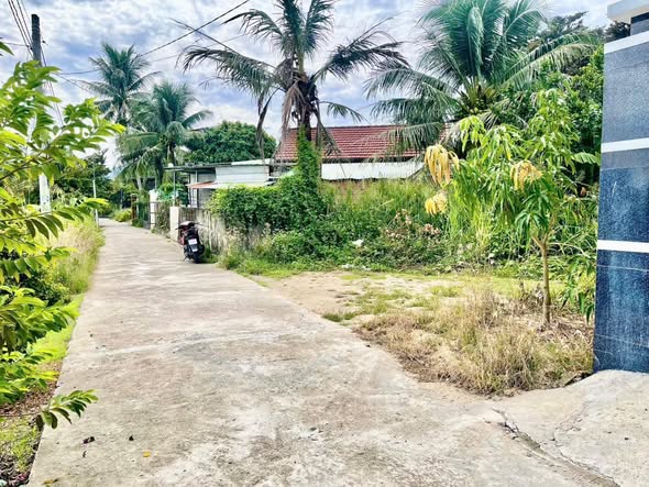 Lô đất thổ cư xã Diên Bình, Diên Khánh 240m² giá 1.55 tỷ - View cánh đồng thoáng đãng!