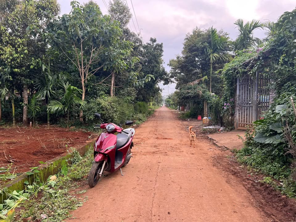 Đất nền Tân An 267m² giá 2.4 tỷ - Phù hợp xây biệt thự, nhà vườn