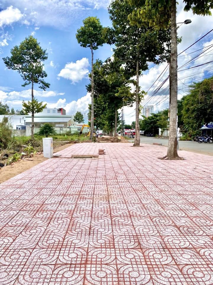 Cho thuê 4 nền liền kề đường Mai Chí Thọ, Cái Răng, 480m² - Mặt tiền đẹp, tiện ích đầy đủ!