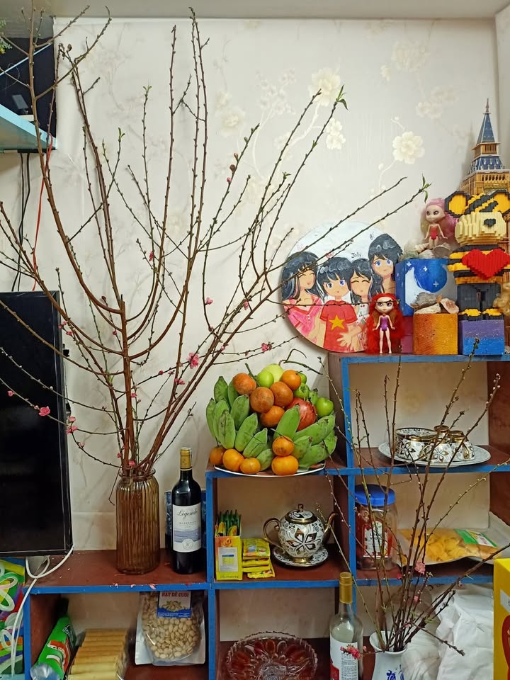 Nhà nguyên căn cho thuê tại Sơn Trà 120m² giá 11 triệu - Khu vực văn minh, tiện lợi