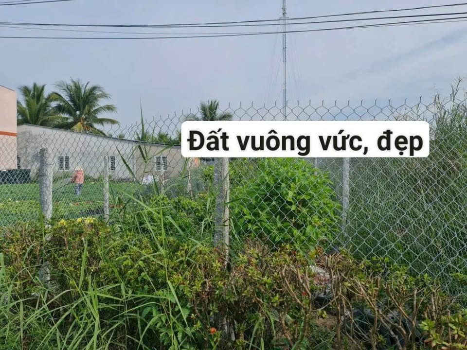 Đất nền Tân Quy Tây 123,9m² giá 1,05 tỷ - Sổ hồng chính chủ!