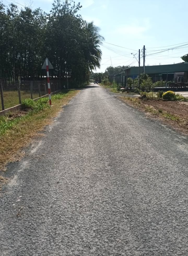 Đất mặt tiền nhựa An Thới, Tây Ninh 420m² giá 1 tỷ - Đầu tư sinh lời ngay!