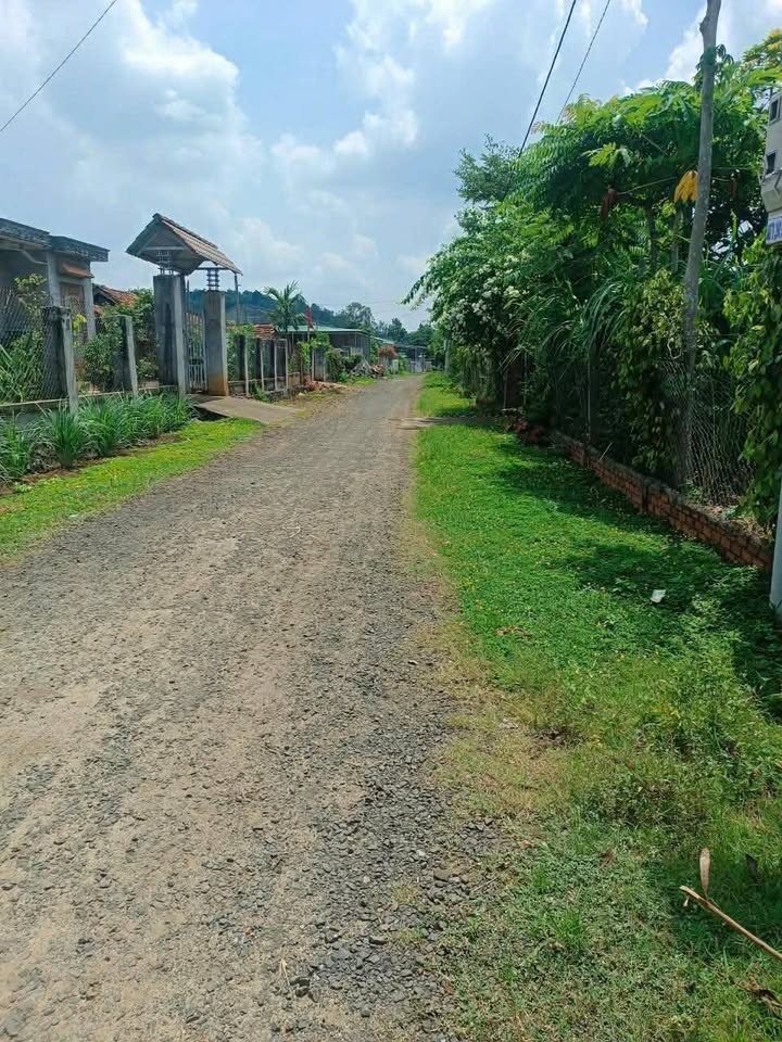 Đất thổ cư 203m² xã Ea Kar, Đắk Lắk - Chỉ 600 triệu, chính chủ bán gấp!