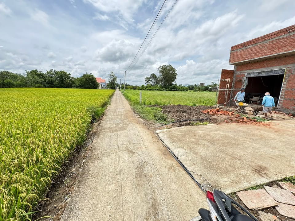 Đất nền Khu phố Thuận Hòa, Phường Long Thuận, 136m² giá 320 triệu - Sổ hồng chính chủ!