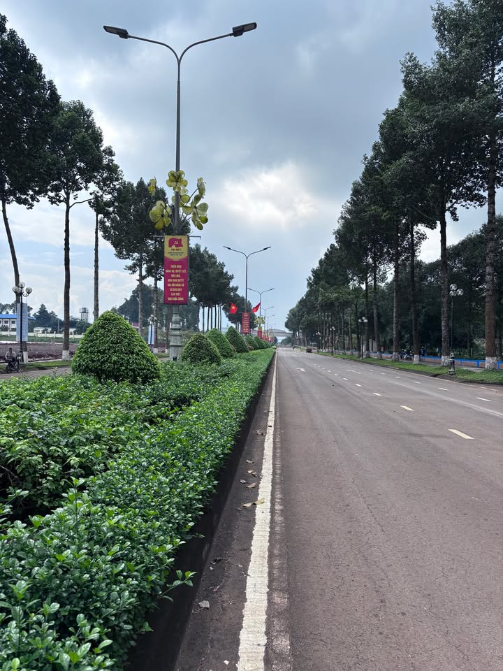 Đất nền Dầu Giây, Đồng Nai 90m² - Đầu tư sinh lời ngay trung tâm hành chính!