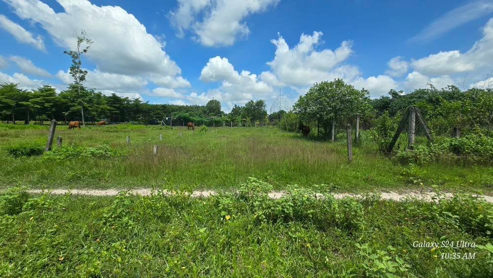 Đất nền xã Nhuận Đức 527m² giá 3.2 tỷ - View kênh nước thoáng mát