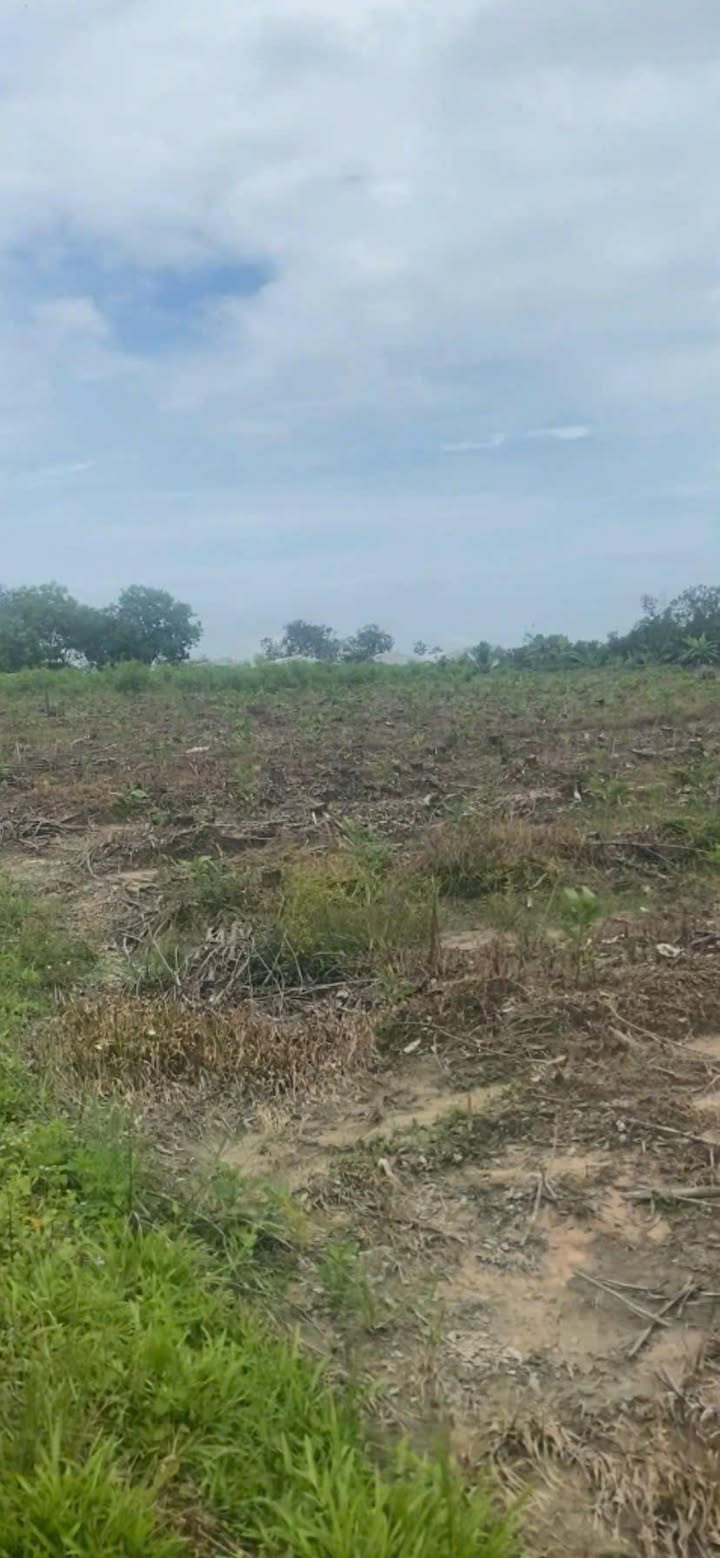 Đất nền Xuân Thành 4 sào giá chỉ 580 triệu - Cơ hội đầu tư hấp dẫn!