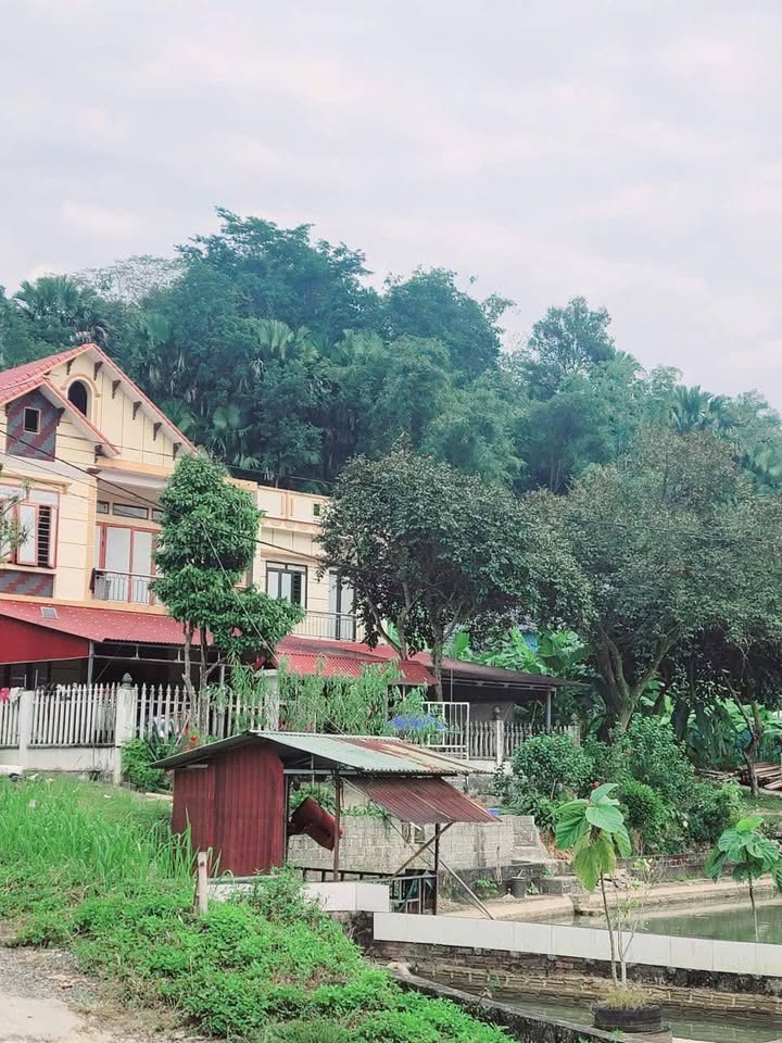 Đất thổ cư 270m² tại Ngọc Đường, Hà Giang - Vị trí cao đẹp, giá thỏa thuận!