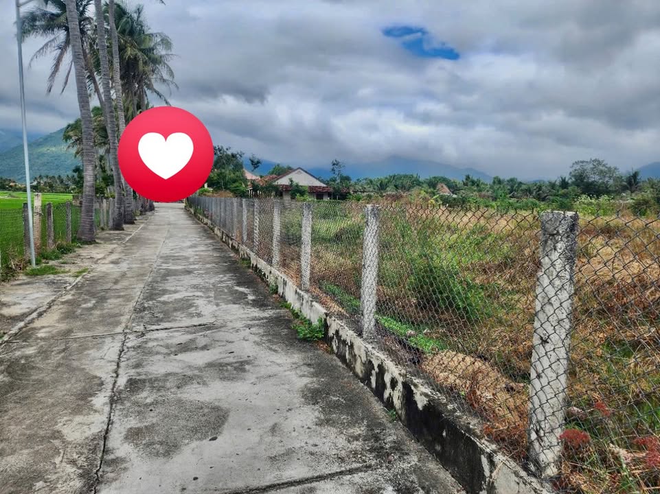 Đất Vạn Lương 3000m² giá 5.1 tỷ - Cơ hội đầu tư tuyệt vời!