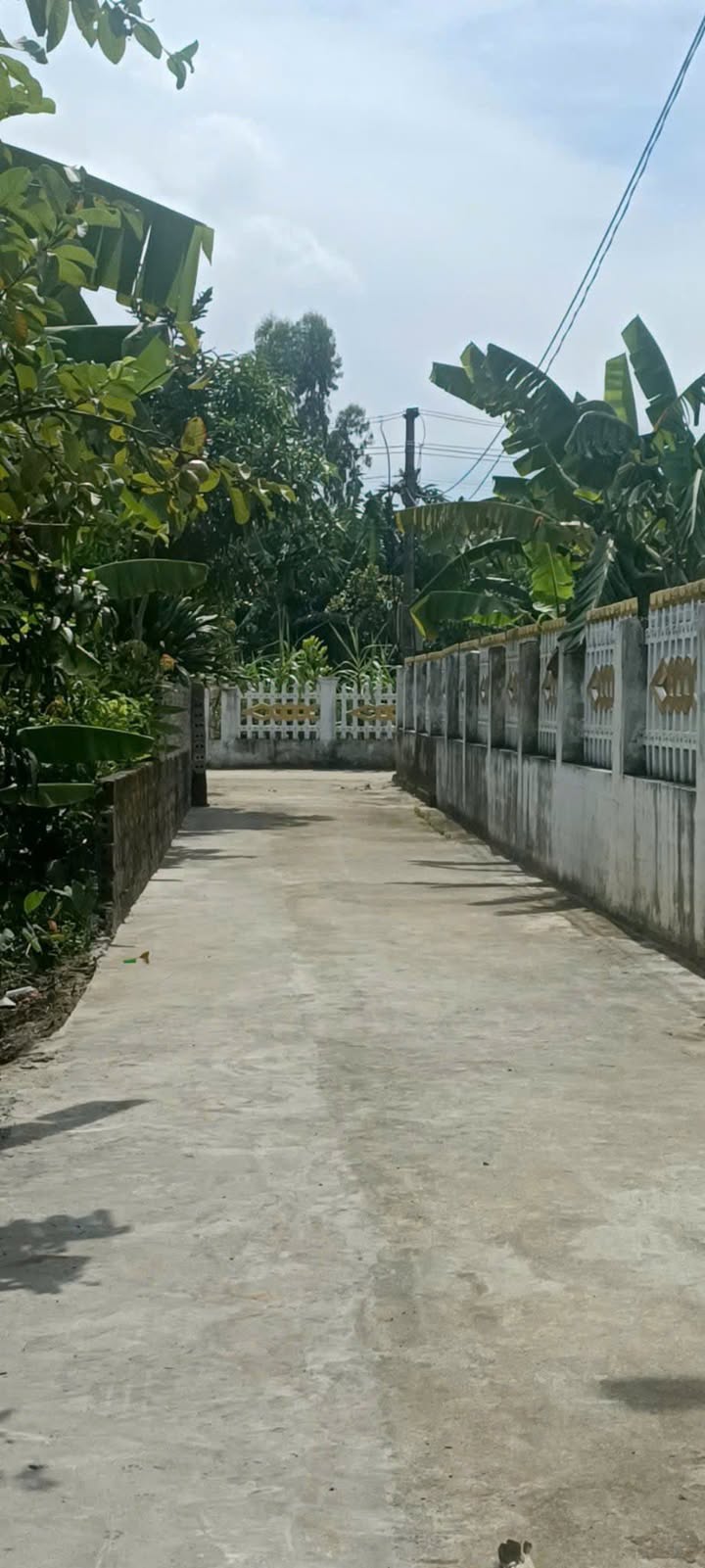 Đất nền Quảng Long 114m² giá chỉ 2xx triệu - Đầu tư sinh lời hấp dẫn!