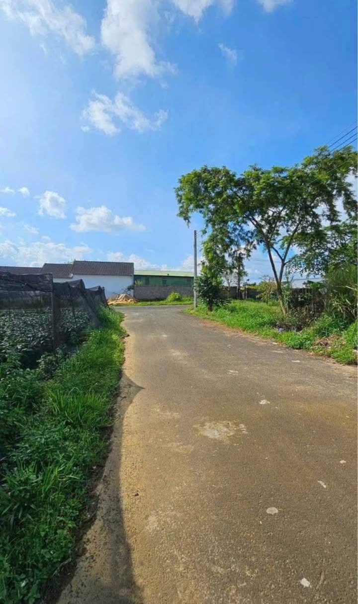 Đất nền Bảo Lộc 100m² giá 2.2 tỷ - Sổ đỏ chính chủ, đường ô tô né nhau!