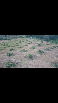 Đất nền Tân Thanh, Lâm Hà 16.000m² giá 3.2 tỷ - Cơ hội đầu tư hấp dẫn!