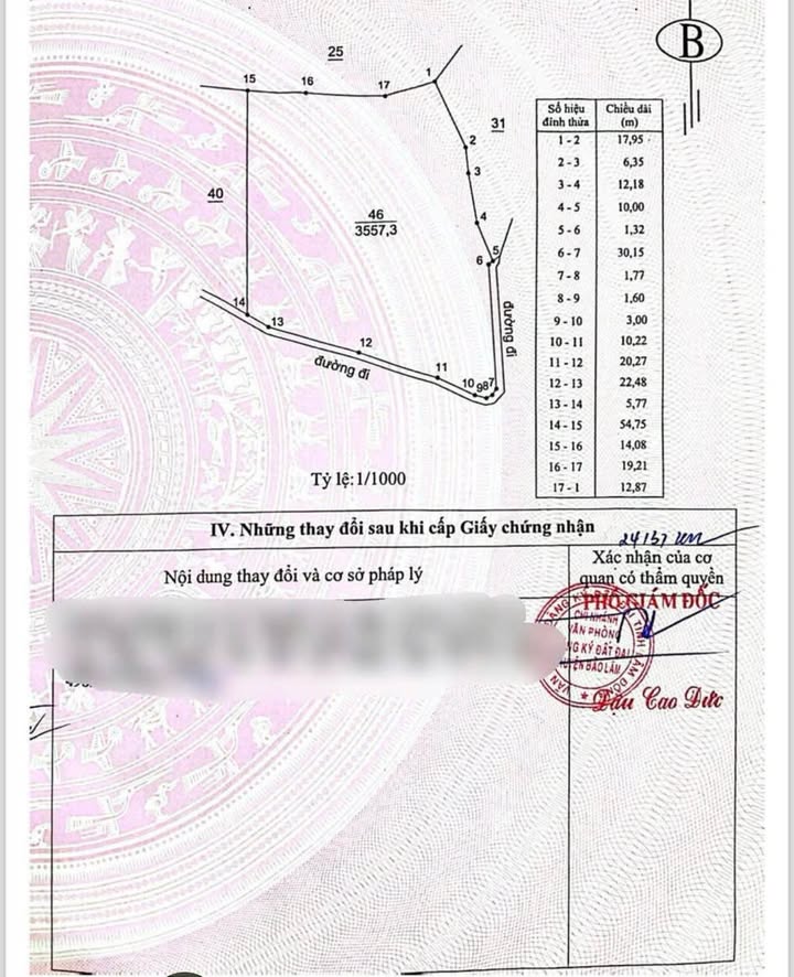 Lô đất Lộc Thành Bảo Lâm 3557m² giá 800 triệu - Cơ hội đầu tư hiếm có!