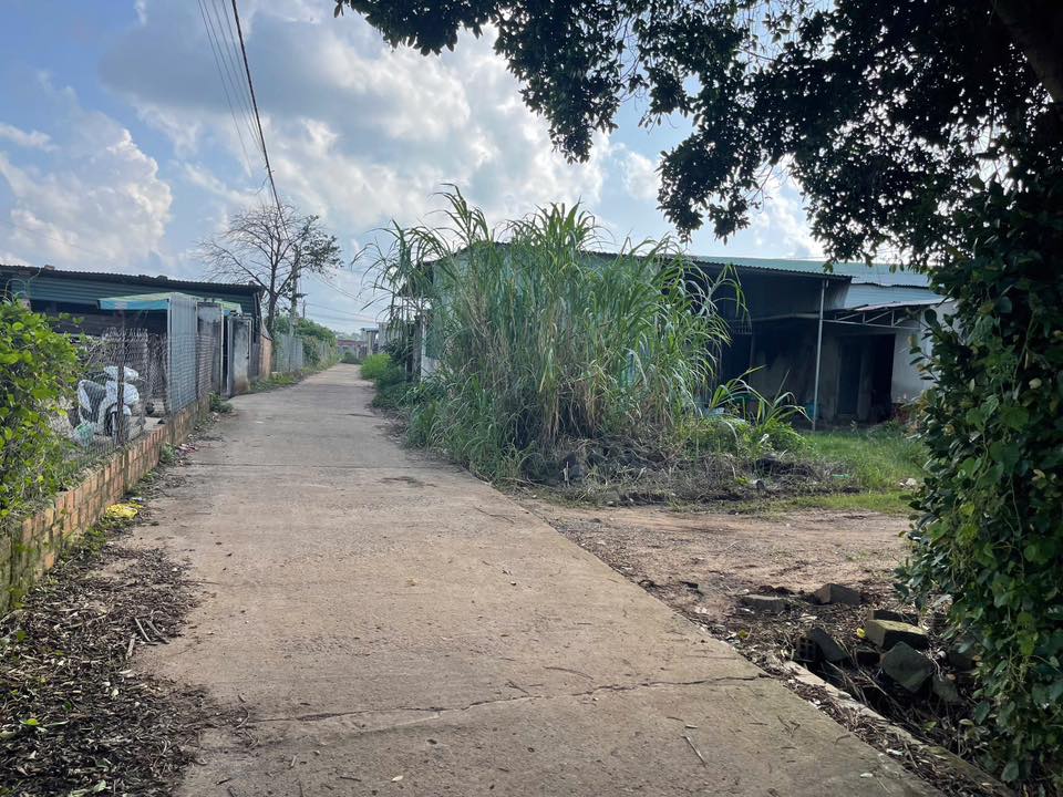 Đất nền thổ cư 135m² tại hẻm Nguyễn Văn Nghi, Phường An Phú - Giá chỉ 400 triệu!