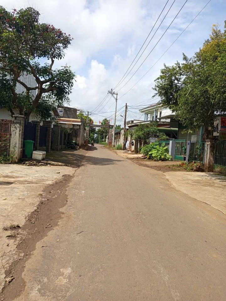 Đất nền thổ cư 564m² mặt đường Trần Quang Khải - Giá chỉ 200 triệu