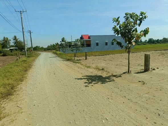 Đất nền ấp 1, xã Long Hòa, huyện Cần Đước - 2000m² giá chỉ 6.8 triệu/m² - Tiềm năng đầu tư lớn!