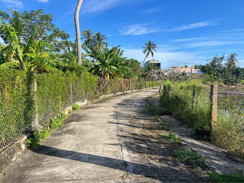 Đất Vạn Lương 3000m² giá chỉ 5.1 tỷ - Cơ hội đầu tư sinh lời tuyệt vời!