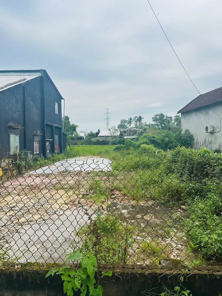 Đất nền Trường Xuân, Tam Kỳ 142.8m² giá 1.2 tỷ - Cơ hội đầu tư hấp dẫn!