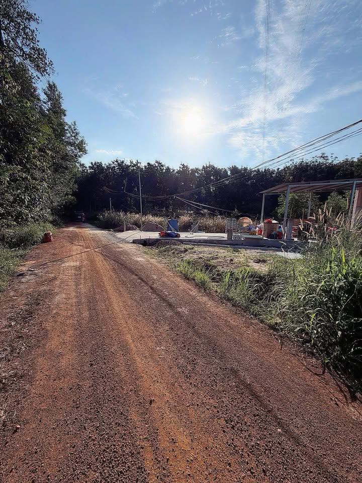 Đất nền Long Nguyên Bàu Bàng 175m² chỉ 6xx triệu - Đường thông, gần chợ!