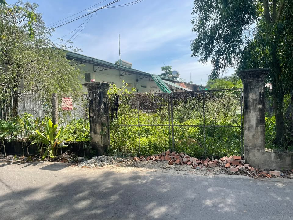 Đất nền Tân Định, Bến Cát 950m² giá 5 tỷ - Đường nhựa thông thoáng!