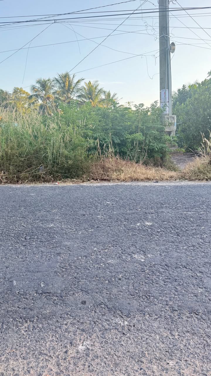 Đất nền Bàu Tép, Tiên Thuận, Tây Ninh 560m² giá 5.6 tỷ - Cơ hội đầu tư tuyệt vời!