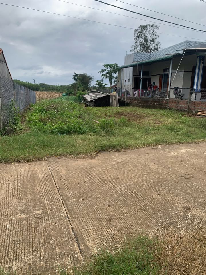 Đất ở Tịnh Hòa Quảng Ngãi 135m² chỉ 400 triệu - Đường bê tông ô tô vào tận nơi!