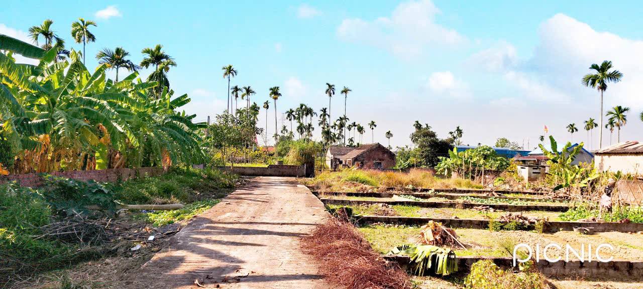 Đất nền Thôn Đông - Xã Quảng Thanh 73m² giá 495 triệu - Đường ô tô vào tận nơi!