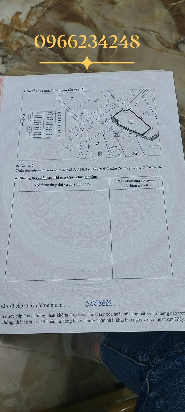 Đất nền Trần Thái Tông, Hạ Long 55m² giá 1.2 tỷ - Cơ hội đầu tư vàng!