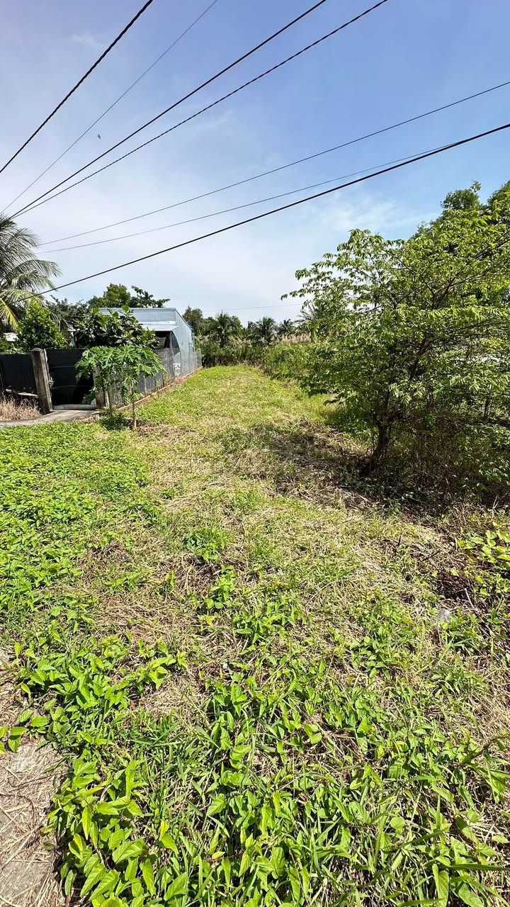 Đất nền Minh Lạc, Minh Lương, Châu Thành, An Giang 300m² - Giá chỉ 320 triệu, cơ hội đầu tư tuyệt vời!