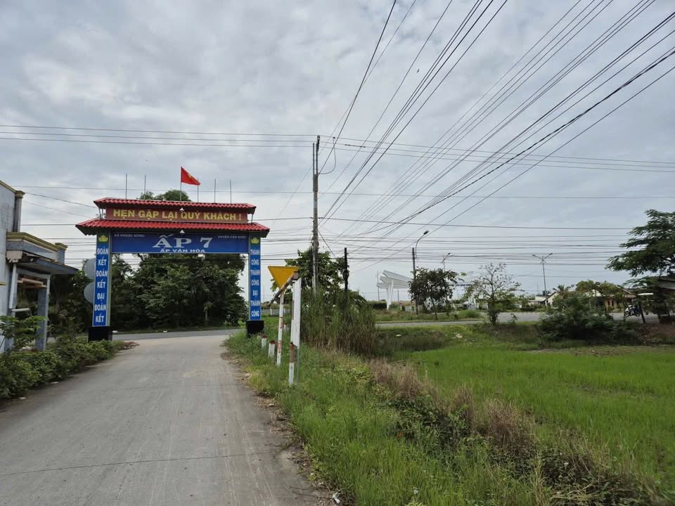 Đất thổ cư Gò Dầu Tây Ninh 722m² giá 2.6 tỷ - Cơ hội đầu tư hấp dẫn!