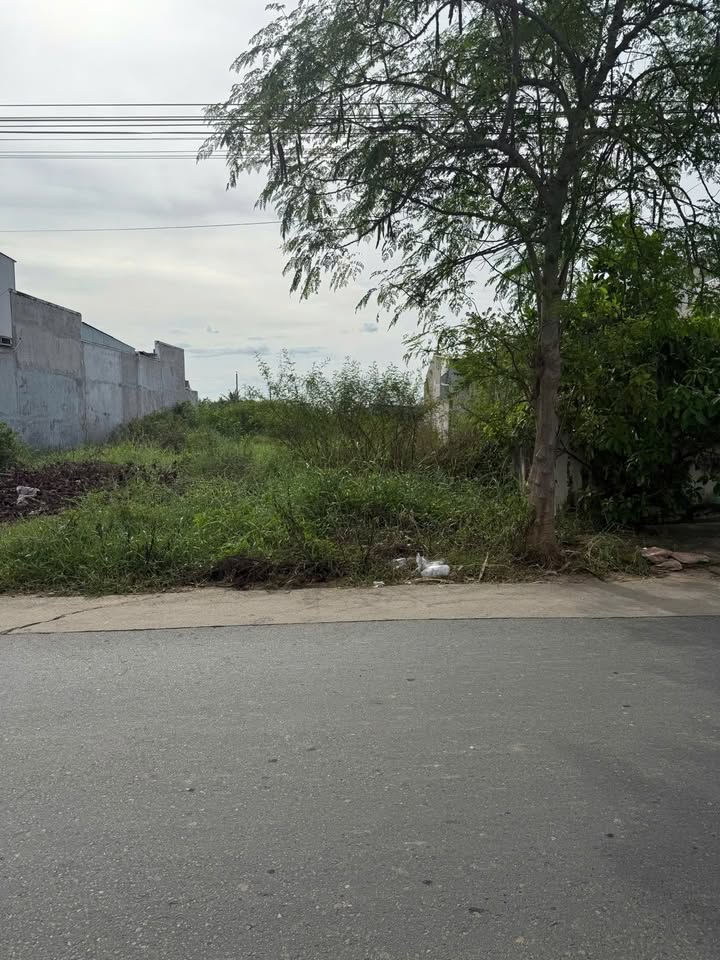 Đất thổ cư 195,5m² mặt tiền đường Ngô Đức Tốn, Phan Thiết - Giá chỉ 2,9 tỷ thương lượng!