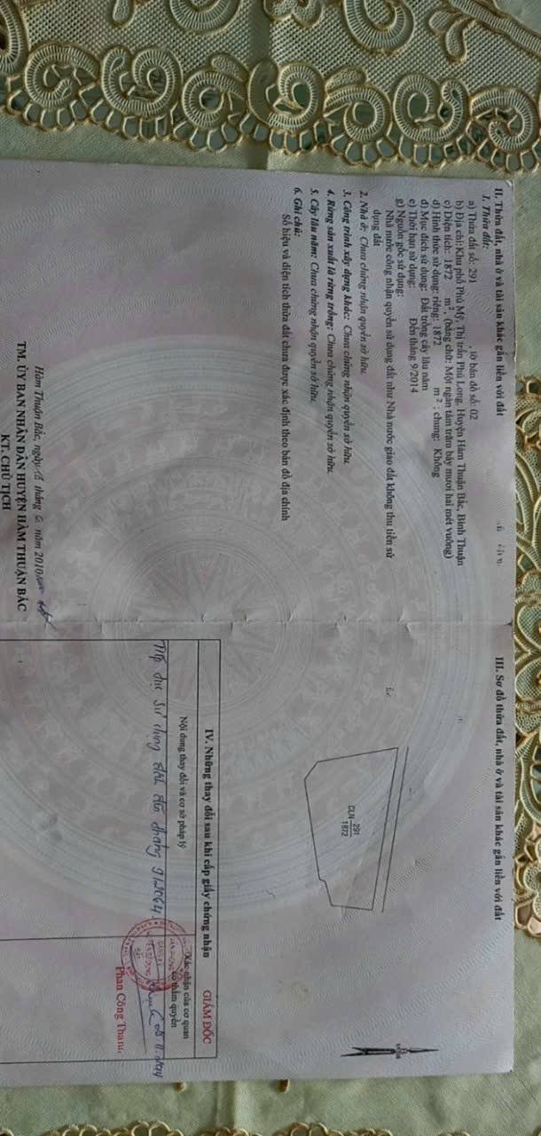 Đất trồng cây lâu năm 1872m² Phú Mỹ, Hàm Thuận Bắc - Giá 3.5 tỷ, chính chủ bán gấp!