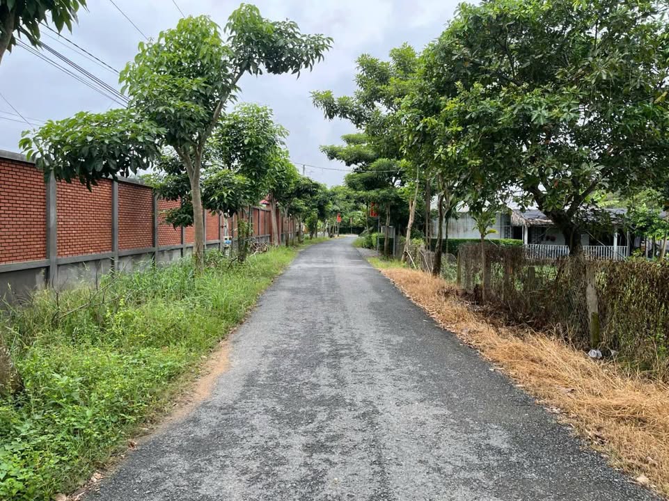 Đất nền mặt tiền Lê Thị Trâm, Nhơn Thạnh Trung 1976m² giá 5 tỷ - Đầu tư sinh lời!