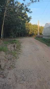 Đất nền 2 mặt tiền đường An Bình 706.24m² giá chỉ 1.25 tỷ - Đầu tư sinh lời ngay!