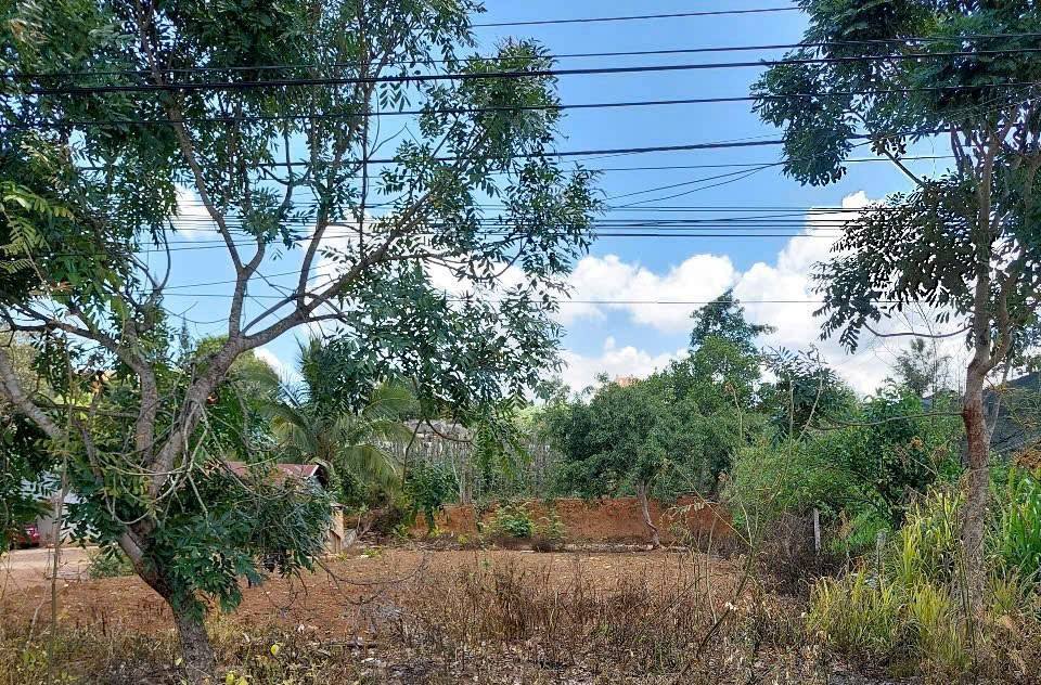 Bán lô đất mặt tiền Quốc lộ 20, xã Phú Hội, Đức Trọng - Diện tích 608m², giá 7.2 tỷ VND!