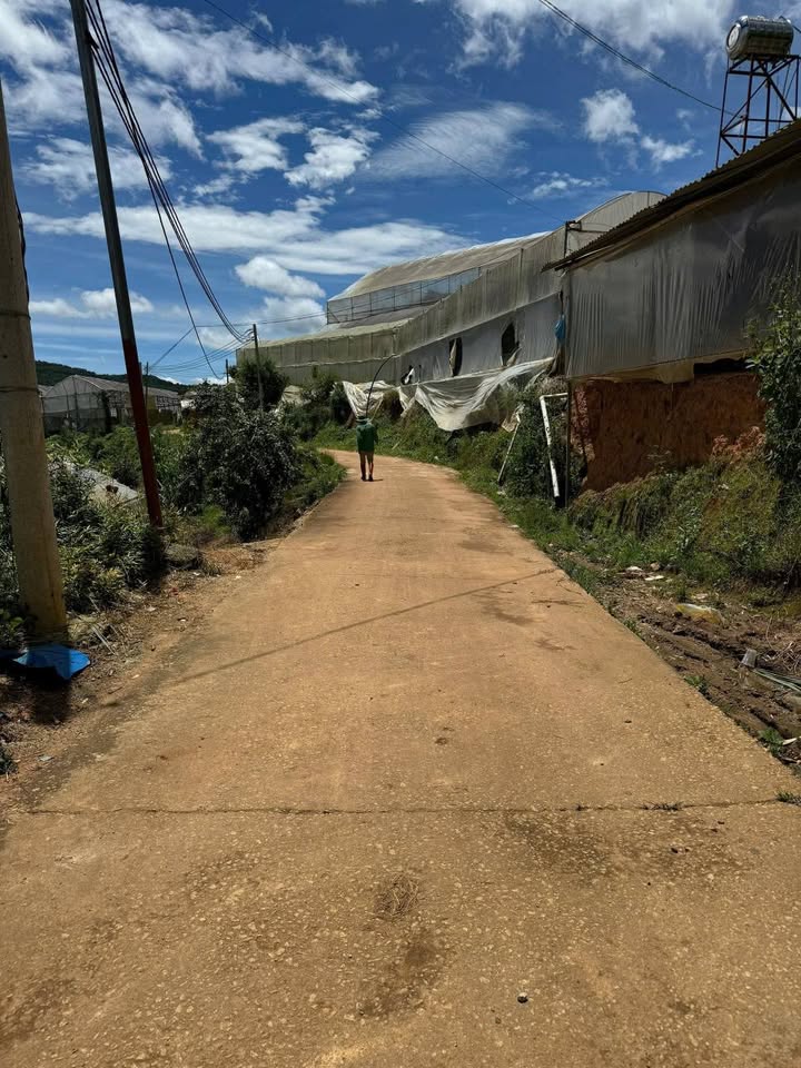 Đất nền 1000m² Xuân Thọ Đà Lạt giá 2,5 tỷ - Sổ đỏ chính chủ, đường ô tô vào tận nơi!