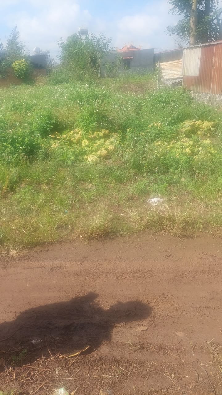 Đất nền Tân Trung, Đức Trọng 175m² giá 550 triệu - Cơ hội đầu tư hấp dẫn!