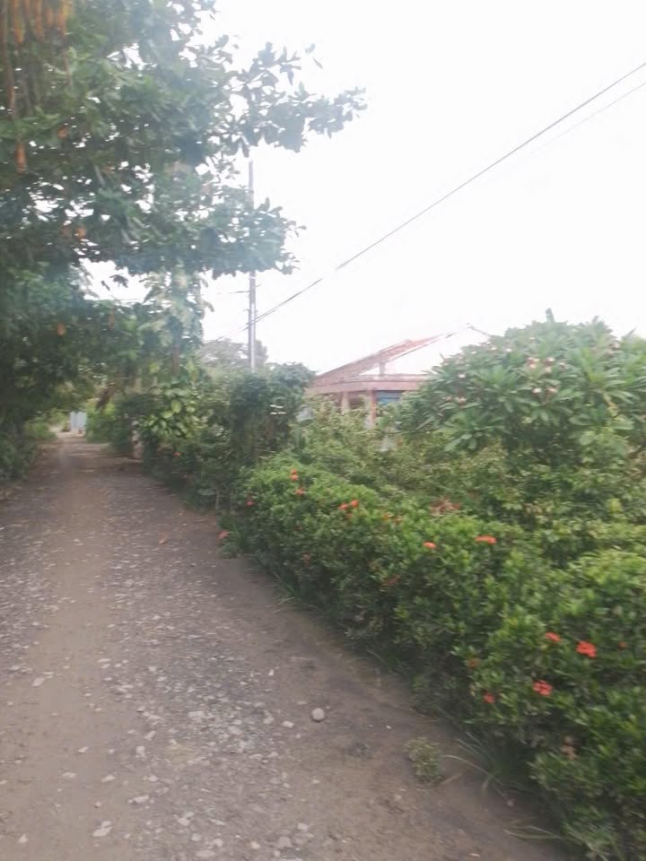 Nhà bán tại An Phú Thuận, Châu Thành, Đồng Tháp 482.5m² giá 680 triệu - Giao thông thuận lợi!