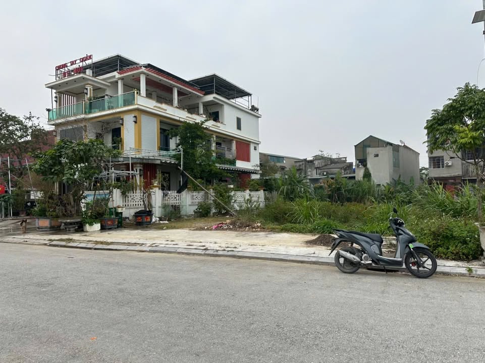 Đất nền thôn Hiền Thôn, Hoằng Đạo 264m² giá chỉ 2 tỷ - Cơ hội đầu tư hấp dẫn!