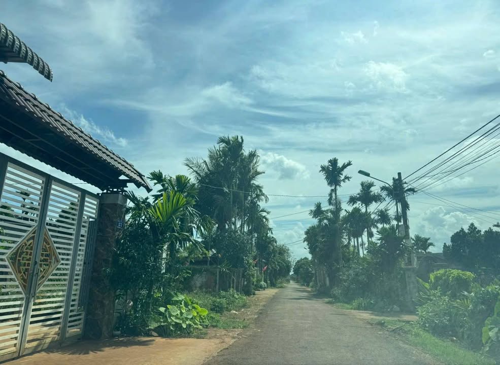 Đất nền mặt tiền đường N3, phường Tân An, 520m² giá 4.2 tỷ - Tiềm năng sinh lời cao!