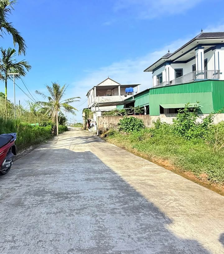 Đất Thổ Cư Thôn Thống Nhất, Thạch Đài 140m² giá 1.3 tỷ - Cơ hội đầu tư tuyệt vời!