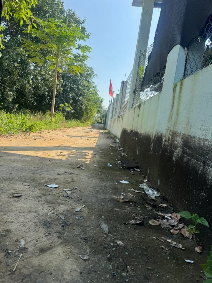 Đất nền khu dân cư Tam Phước, Long Điền, Bà Rịa - Vũng Tàu - Giá chỉ từ 200 triệu!