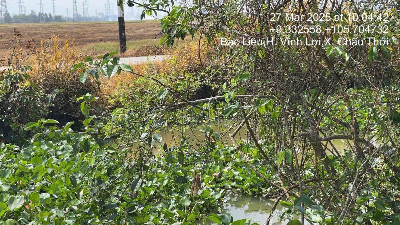 Đất thổ cư 185m² tại Xóm Lớn, Châu Thới - Giá chỉ 320 triệu!