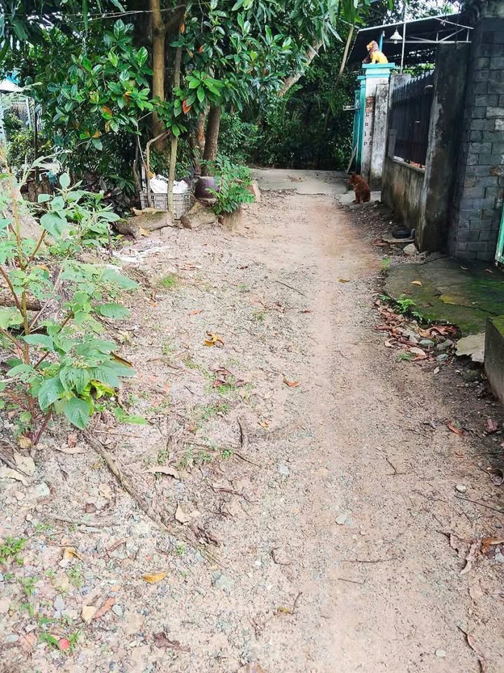 Đất nền Bình Nhâm 140m² giá chỉ 2.2 tỷ - Đầu tư sinh lời ngay!