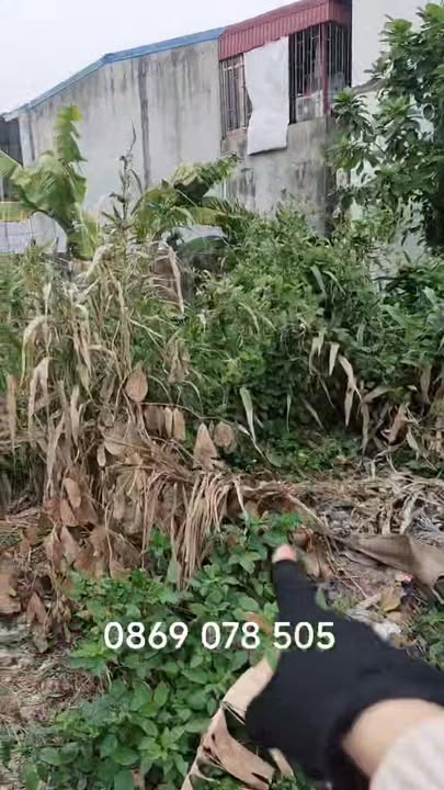 Đất nền Đồ Sơn Hải Phòng 44.2m² giá 1.2 tỷ - Vị trí tiềm năng phát triển!