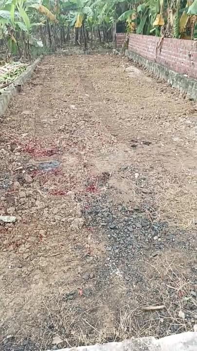 Đất nền Quảng Cư Thủy Nguyên 73m² giá chỉ 495 triệu - Ngõ ô tô vào tận nơi!