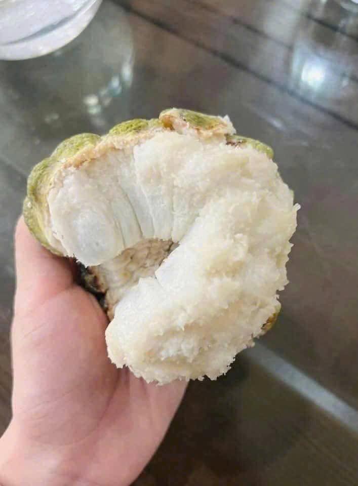 Phòng cho thuê mặt tiền đường Nguyễn Tri Phương 30m² giá 2.5 triệu - Không chung chủ!